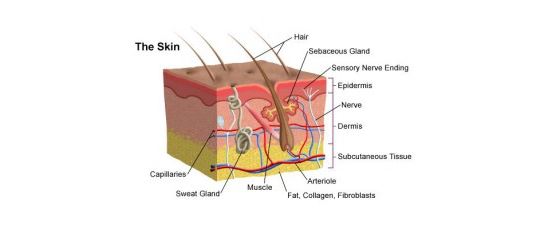 Plantar Wart Treatments